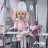 Orange Toys LD042 Lucky Doggy Мягкая игрушка Собачка Lucky Dolly: Альпийский стиль, 25 см