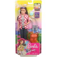 Mattel FWV17 Кукла Mattel Barbie Скиппер серия Путешествия