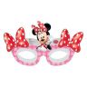 82680_procos_minnie.jpg