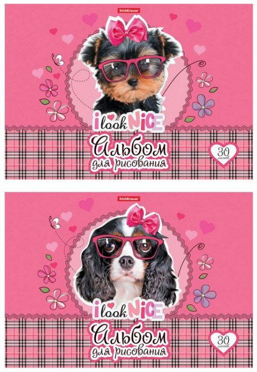 ErichKrause 45431EK Альбом для рисования на клею ErichKrause Clever Dog, А4, 30 листов