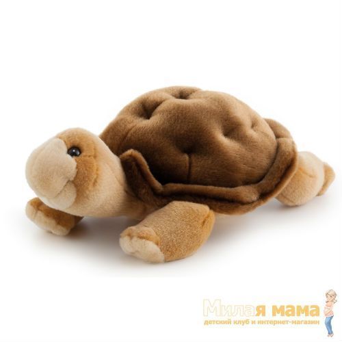 Trudi 26065 Мягкая игрушка Черепаха Ромильда, 35см