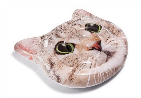 INTEX int58784EU Плот надувной "Котик", 147смx135см INTEX int58784EU Плот надувной "Котик", 147смx135см