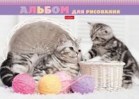 Hatber 24А4лВк-20994 Альбом для рисования Hatber Котята и клубочки 24 листа, А4