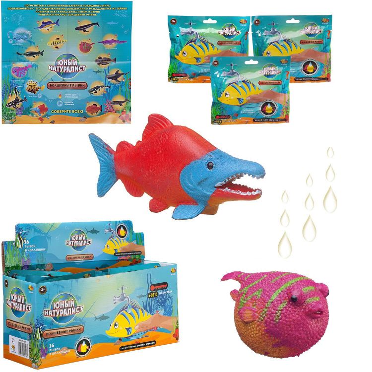 ABtoys (АБтойс) PT-01690/1 Фигурка ABtoys Юный натуралист Рыбка волшебная, меняет цвет в воде ABtoys (АБтойс) PT-01690/1 Фигурка ABtoys Юный натуралист Рыбка волшебная, меняет цвет в воде