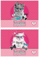 ErichKrause 45434EK Альбом для рисования на клею ErichKrause Cool Cat, А4, 40 листов
