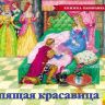 Росмэн 27896 Книжка-панорамка Спящая красавица