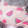 BUDI BASA BB-034 Мягкая игрушка Кот Басик BABY в трусах в арбузик и с зеленым бантиком, 20 см
