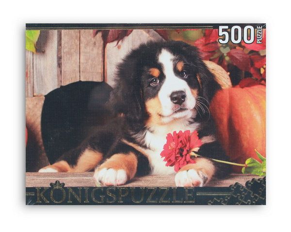 Konigspuzzle ГИК500-8301 Пазлы Щенок бернского зенненхунда, 500 элементов