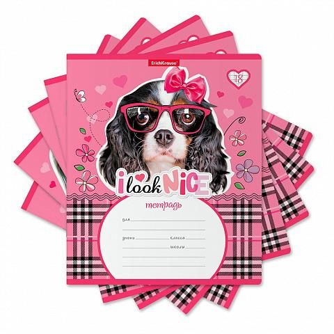 ErichKrause 45090ЕК Тетрадь ученическая 18л КЛЕТКА Clever Dog (в плёнке по 10 шт.)