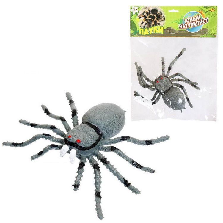 ABtoys (АБтойс) PT-01746 Фигурка Abtoys Юный натуралист Пауки Паук серый, термопластичная резина