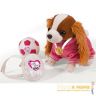 5894233-0-koker-spaniel-plyushevaya-sobachkas-ryukzakom-medalyu-i-myachikom-20-sm-360.jpg