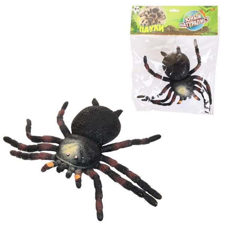 ABtoys (АБтойс) PT-01747 Фигурка Abtoys Юный натуралист Пауки Паук черно-коричневый, термопластичная резина