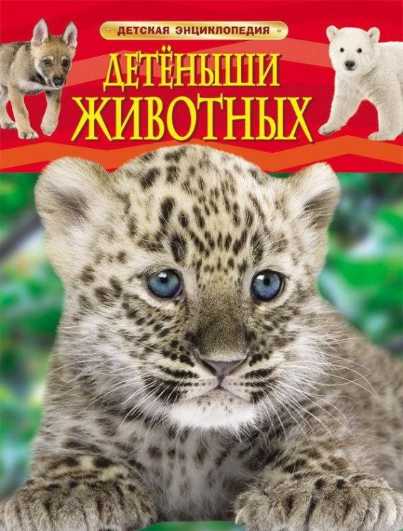 РОСМЭН 22213 Книга. Энциклопедия детская. Детеныши животных