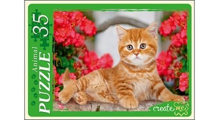 Рыжий Кот ПУ35-5909 Пазл-макси Котенок в цветах, 35 элементов