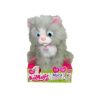 30734-vivid-cat-pack.jpg