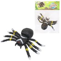 ABtoys (АБтойс) PT-01749 Фигурка Abtoys Юный натуралист Пауки Паук черный с желто-белым рисунком, термопластичная резина