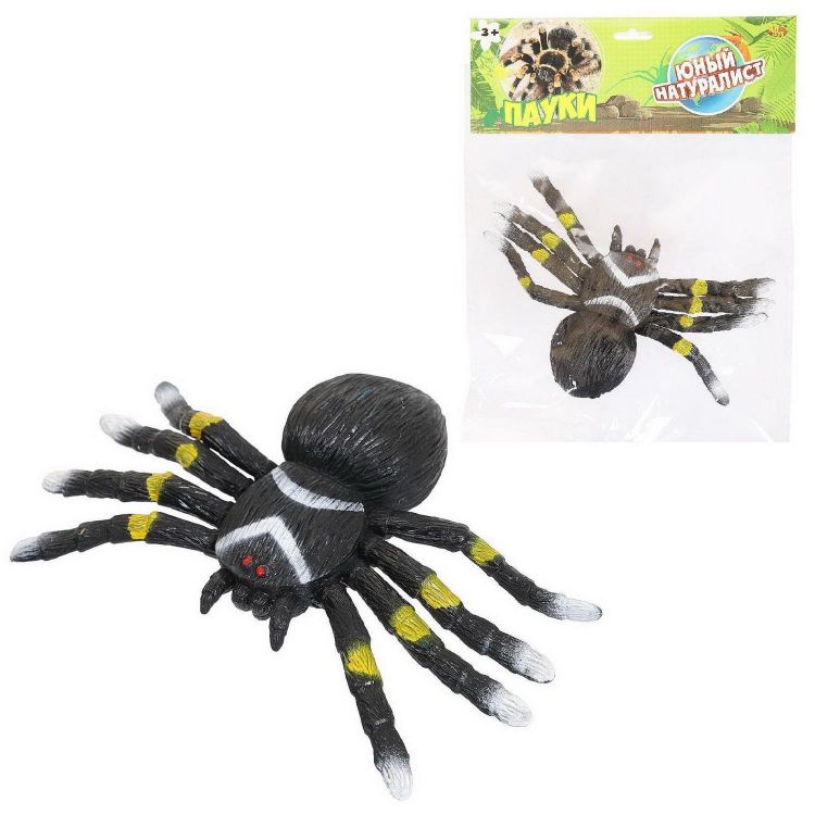 ABtoys (АБтойс) PT-01749 Фигурка Abtoys Юный натуралист Пауки Паук черный с желто-белым рисунком, термопластичная резина