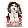 30732-vivid-dog.jpg